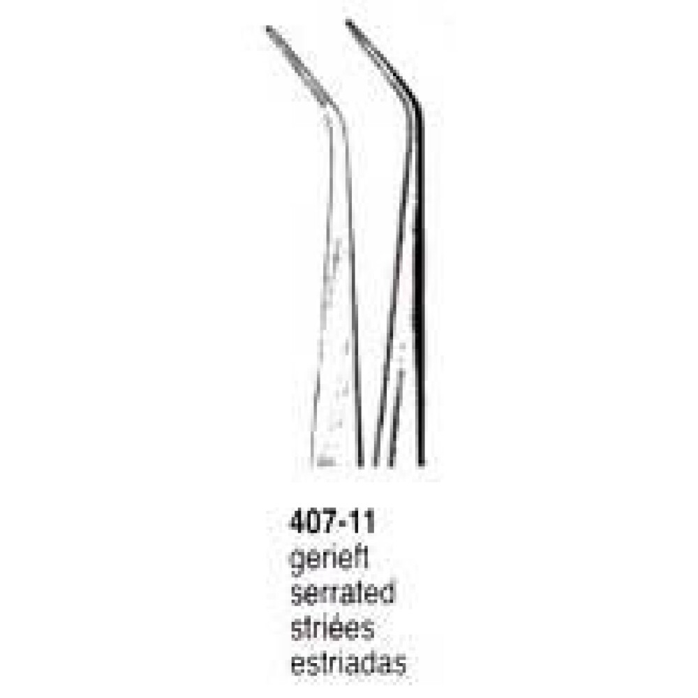PENSA DENTARA 407-11