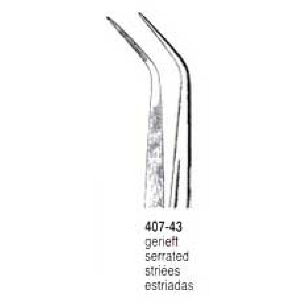 PENSA DENTARA 407-43