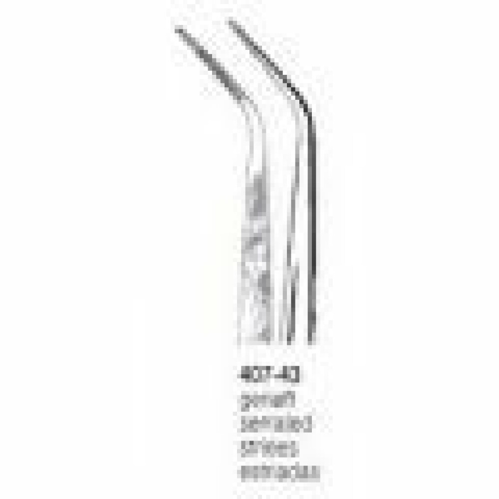PENSA DENTARA 407-43