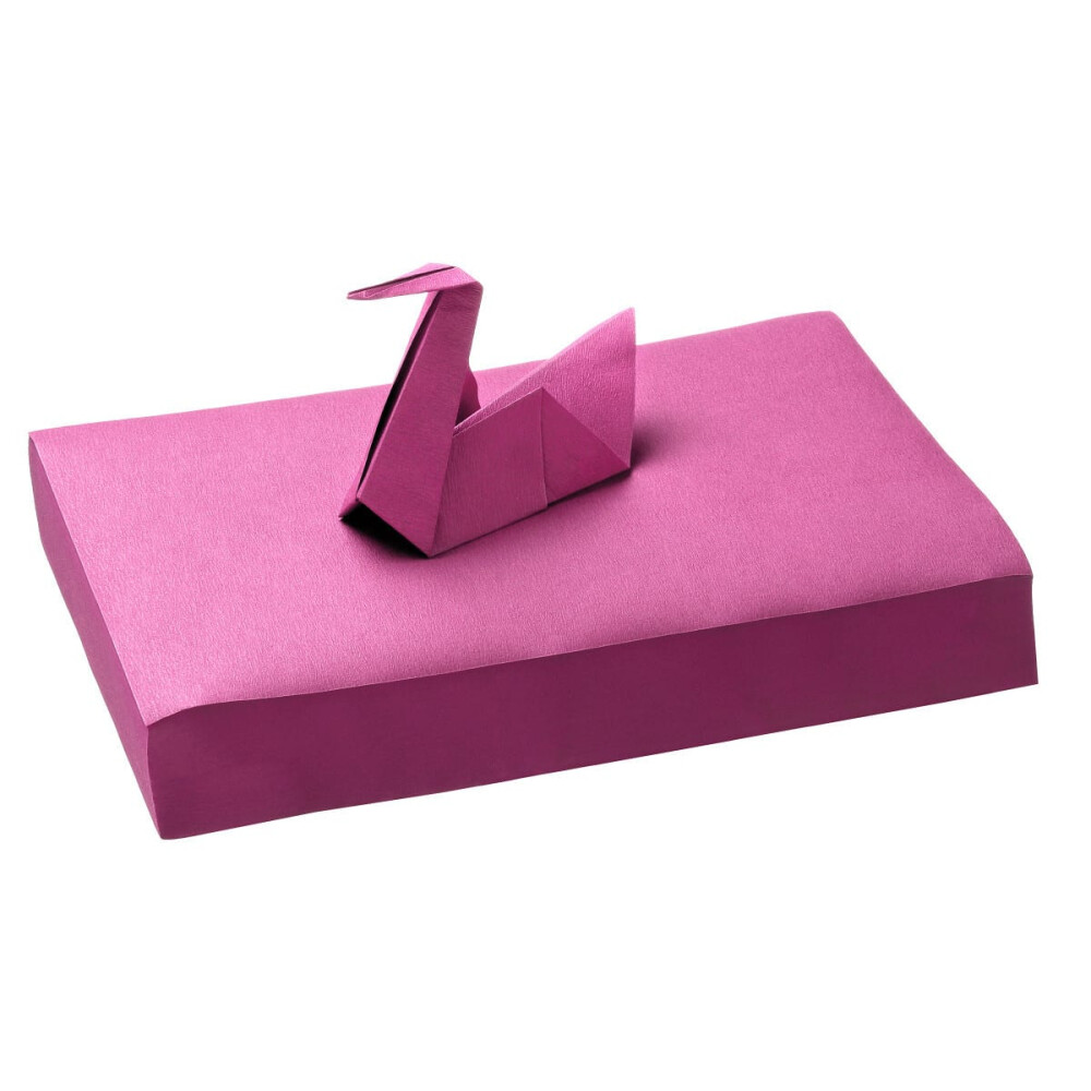 CAMP DE LUCRU 18X28 CM FUCHSIA AKZENTA