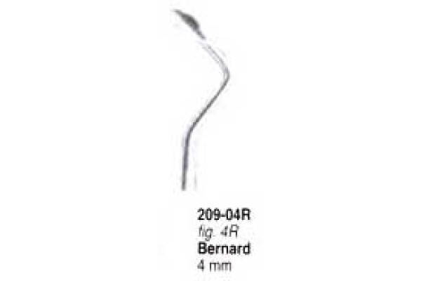 ELEVATOR BERNARD 209-04R