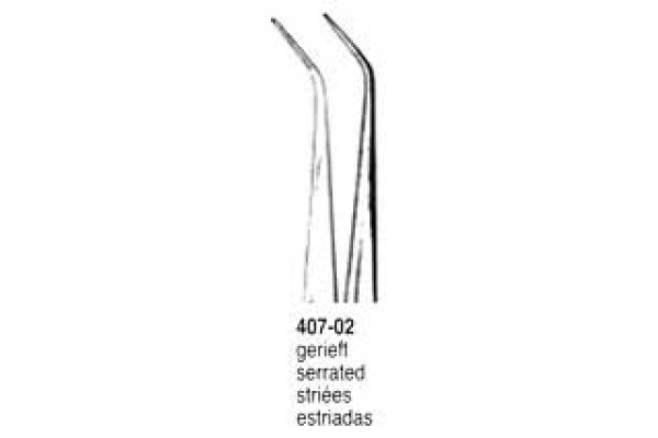 PENSA DENTARA 407-02