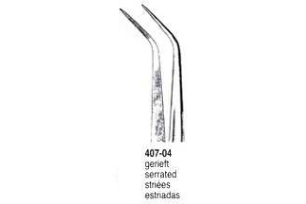 PENSA DENTARA 407-04