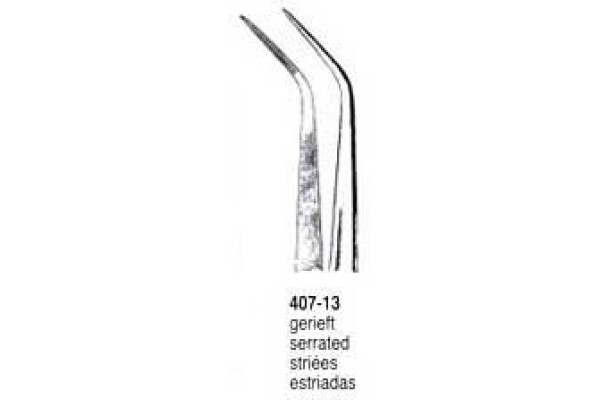 PENSA DENTARA 407-13