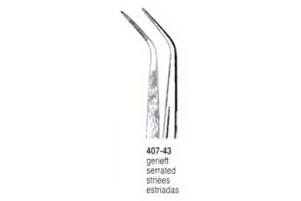 PENSA DENTARA 407-43